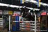 Zwartewaterruiters indoor paardenspringen 7 maart 2009 10.JPG