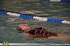 0625 Zwemvierdaagse in zwembad Bestevaer