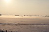 Atse - 3-1-2010 - Winterse mist 1.jpg