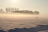 Atse - 3-1-2010 - Winterse mist 2 1.jpg