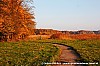 Johan Bakker - 12-11-2012 - Stukje natuur nabij Vollenhove. 1.jpg